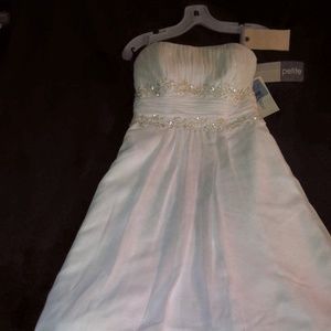 Chiffon Beaded Empire Waist Petite  6P